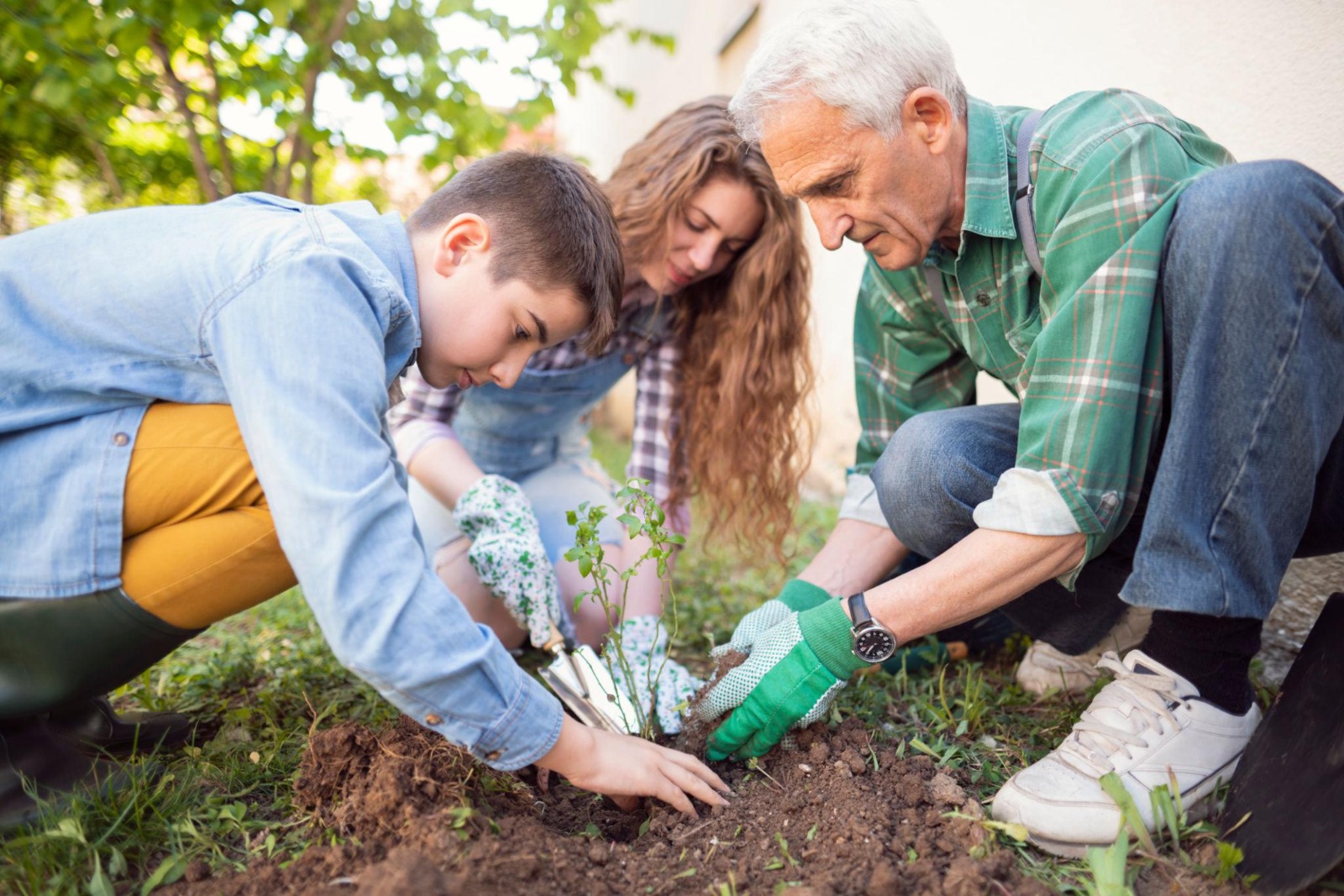Family Governance & Succession Planning
